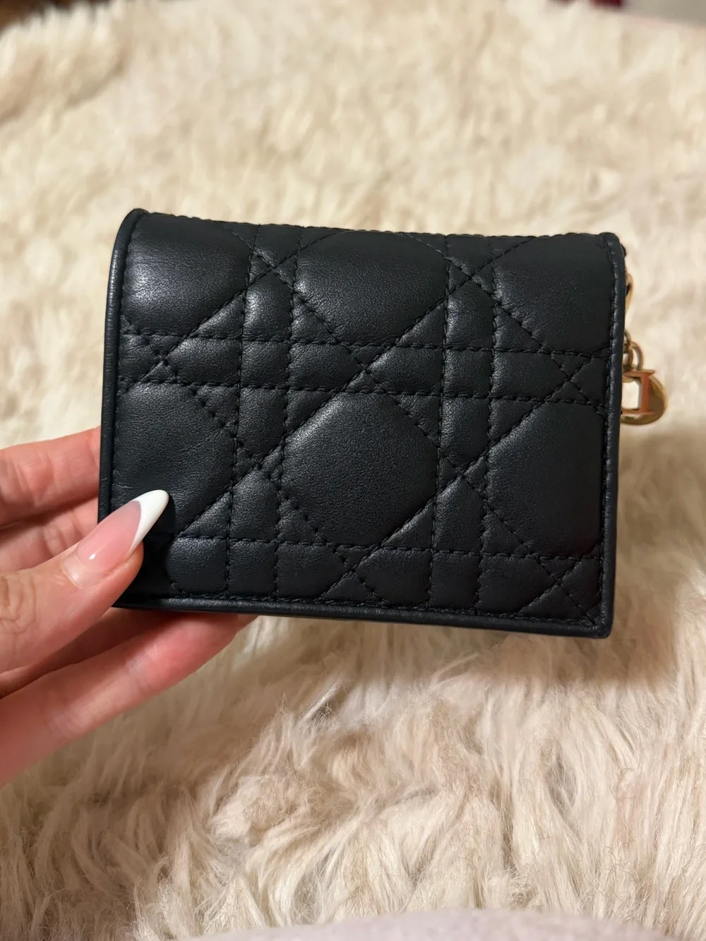 2024 Mini Lady Dior Gardenia Compact Wallet